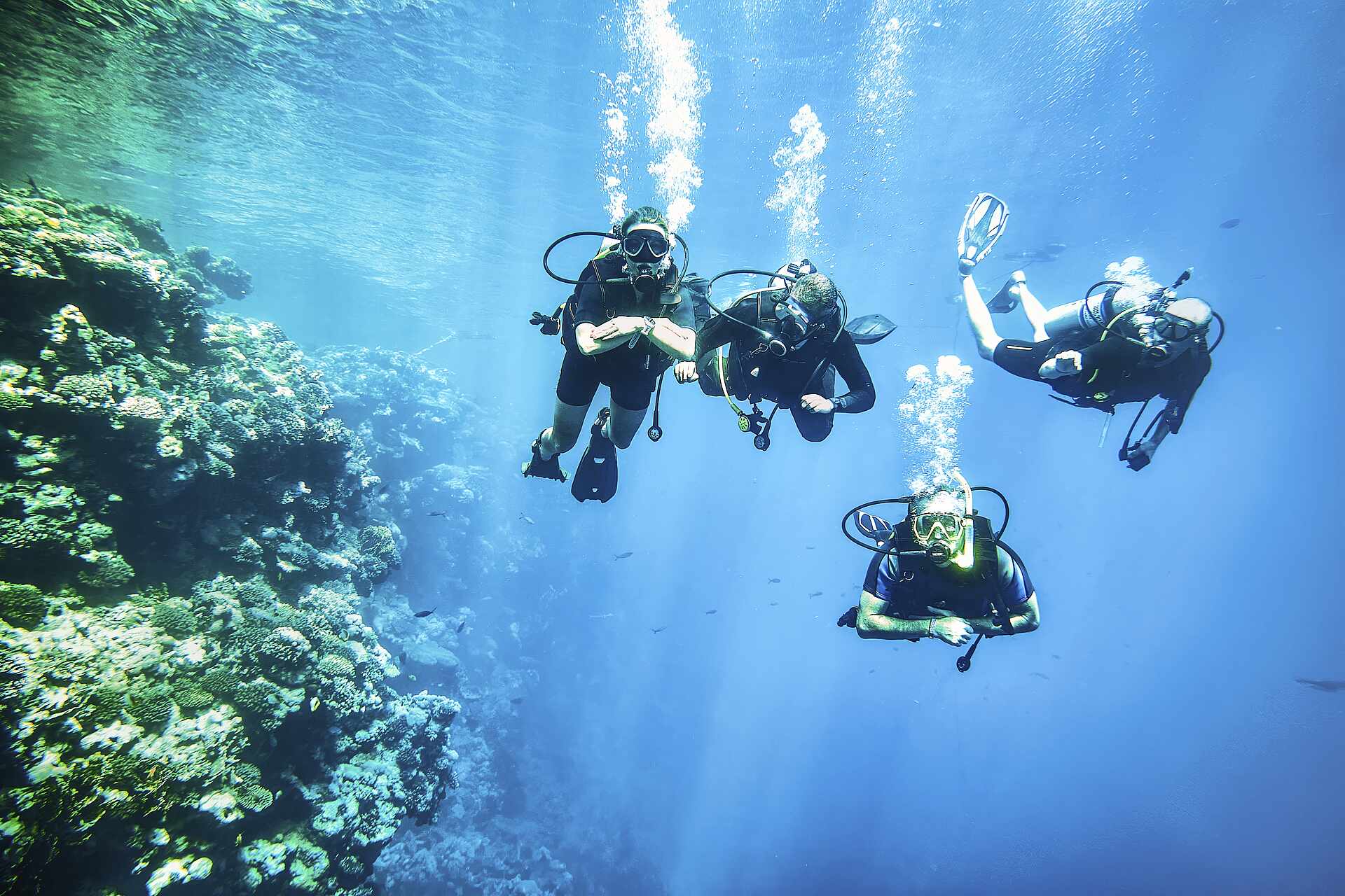 Csm ACC 947959 AC108879891 ML Redsina Diving 9811 36ba4f19cc (1)